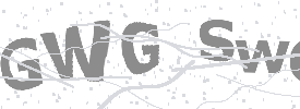 Gibberish Image